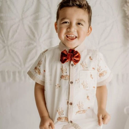 Bencer And Hazelnut Prancer Boys Button Up Shirt