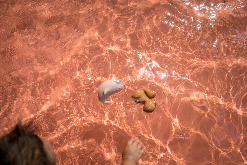 Tikiri Walrus Rubber Artic Animal - Image 2