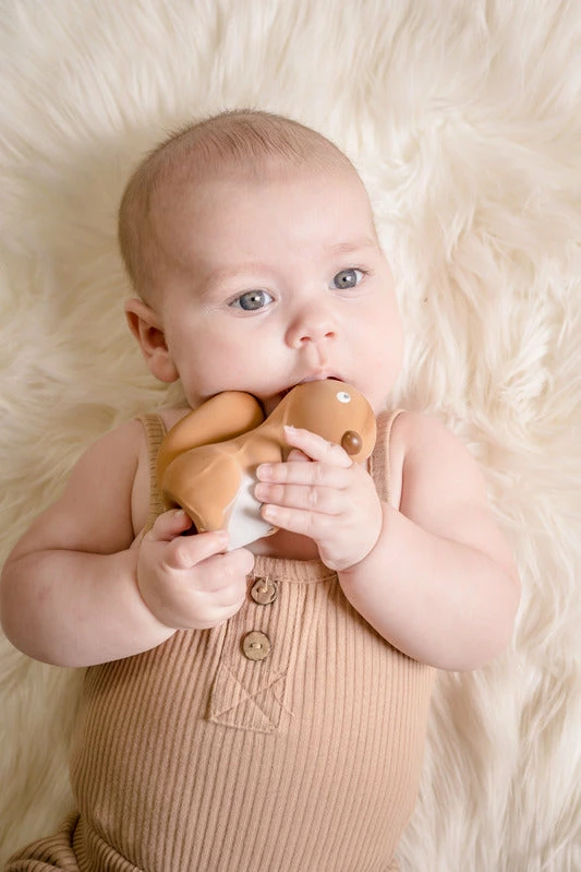 Tikiri Squirrel Rubber Artic Animal - Image 2