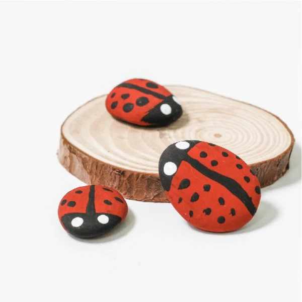 Poppy & Daisy Ladybird Rocks Mini Eco Bags - Image 2