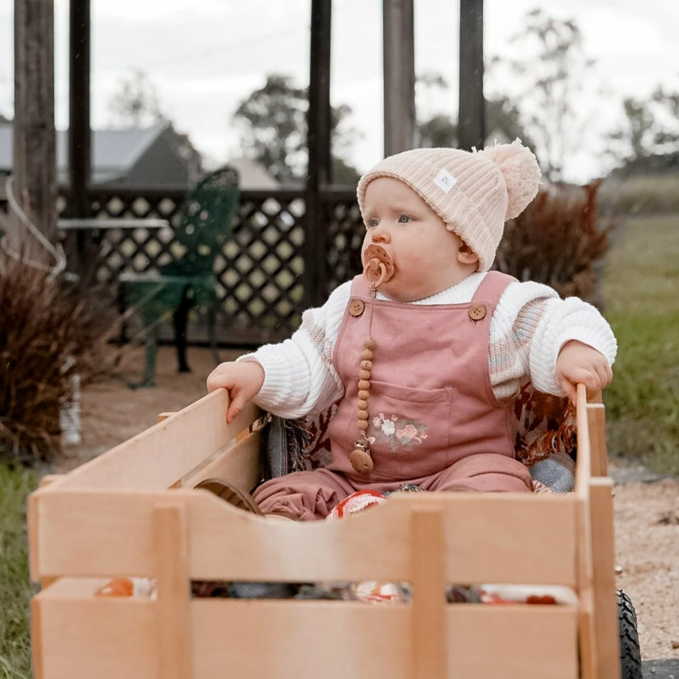 Aster & Oak Berry Rose Overalls