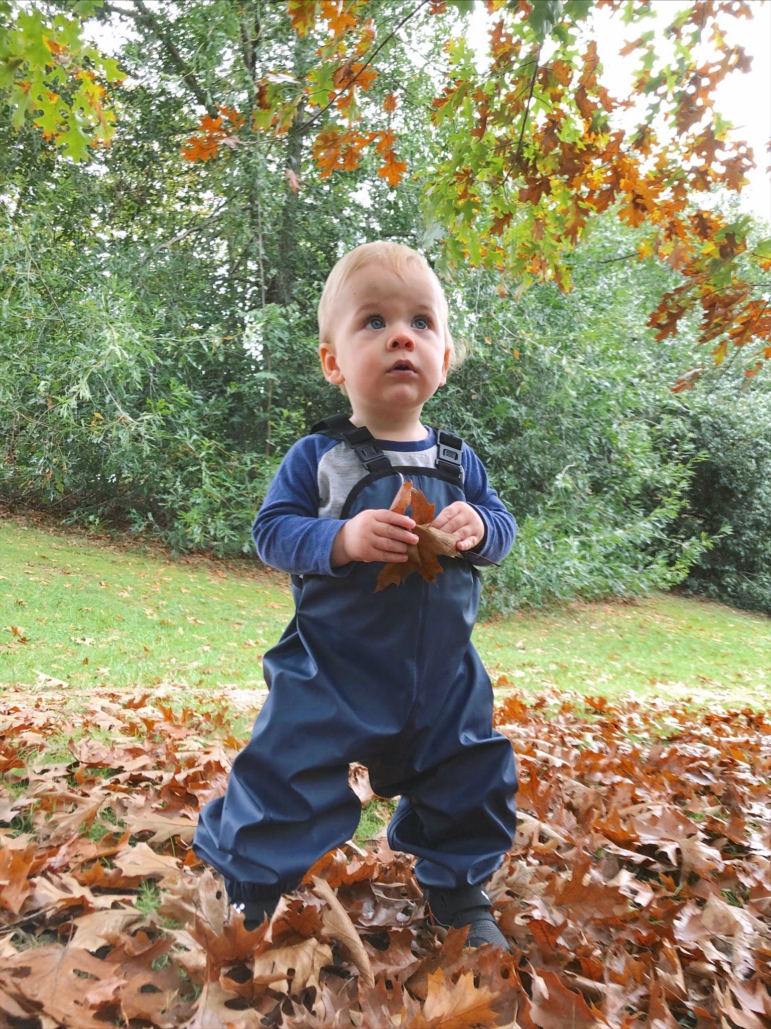 Rainkoat Overalls - Ink Navy - Image 4