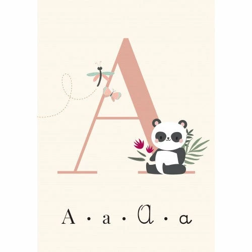 Sassi My First Cards - Alphabet - Image 3