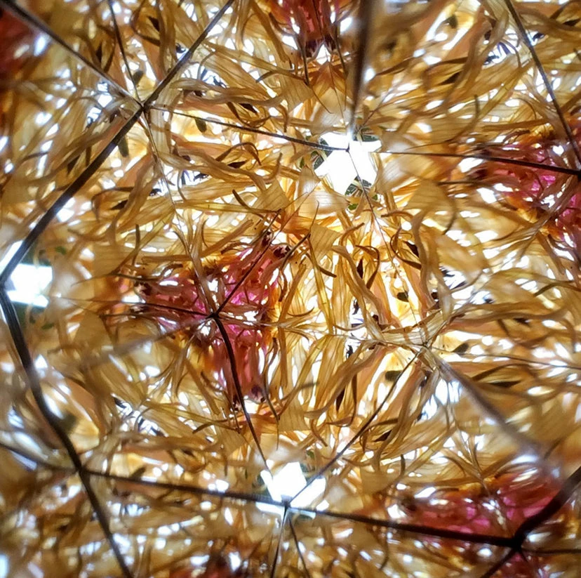 Sarika And Sage Flowerscope - Image 3