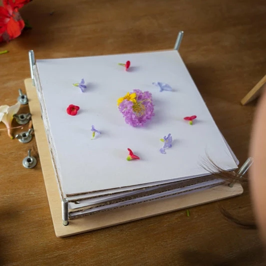 Tender Leaf Toys My Botanical Flower Press - Image 5