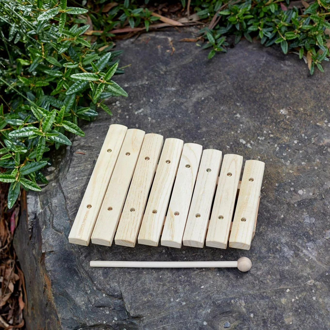 Marching Bambino Xylophone - Image 2